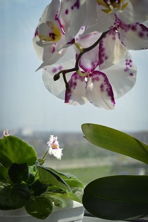 Обучение фотосъемки